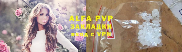 ECSTASY Алзамай