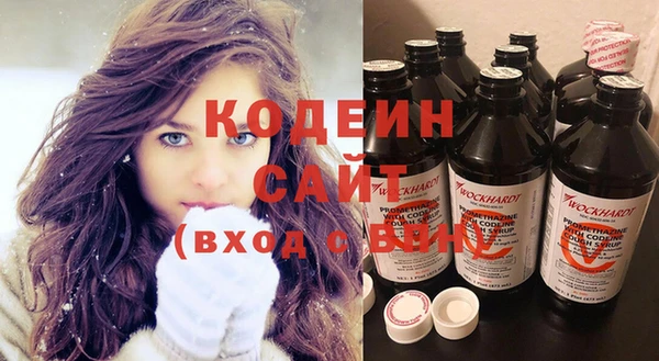 ECSTASY Алзамай