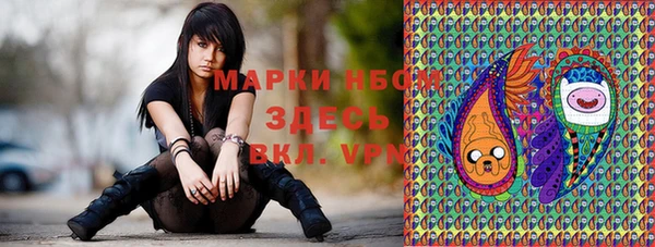 ECSTASY Алзамай