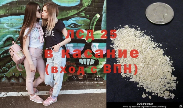 ECSTASY Алзамай