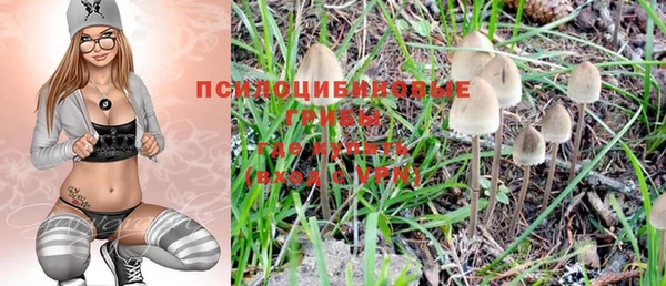 мяу мяу мука Алексин