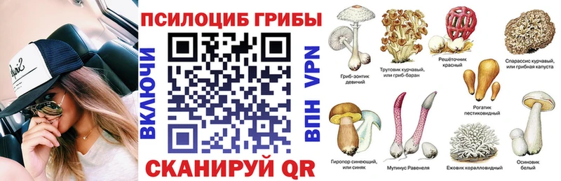 продажа наркотиков  Красноуральск  Псилоцибиновые грибы мицелий 